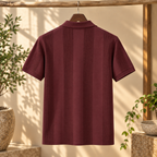 4 Pack Men’s Regular Fit Polo T-Shirts ( PT-2 )